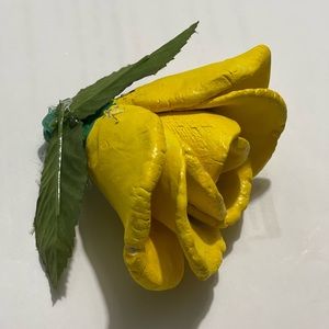 Meet your Posher, Dipon